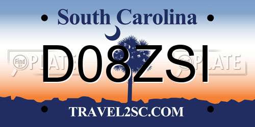 D08ZSI South Carolina License Plate