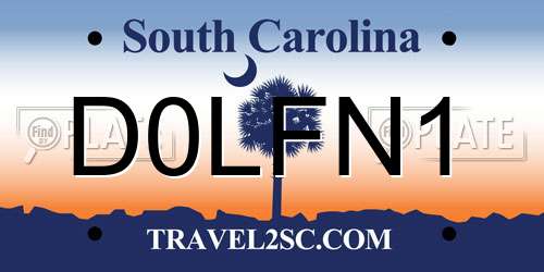 D0LFN1 South Carolina License Plate