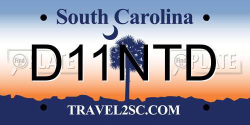 D11NTD South Carolina License Plate