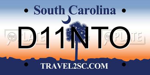 D11NTO South Carolina License Plate