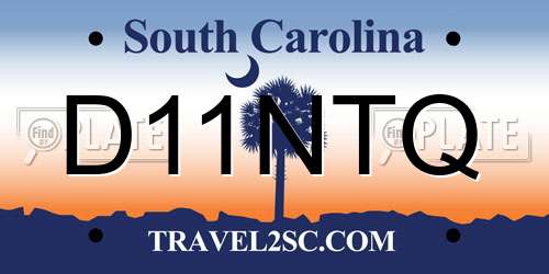 D11NTQ South Carolina License Plate