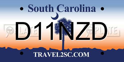 D11NZD South Carolina License Plate