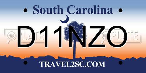 D11NZO South Carolina License Plate