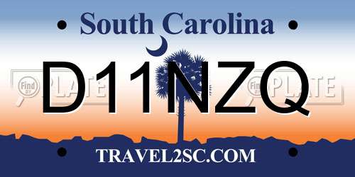 D11NZQ South Carolina License Plate