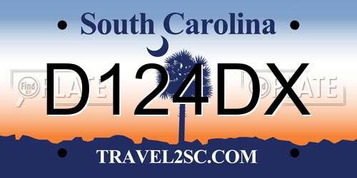 D124DX South Carolina License Plate