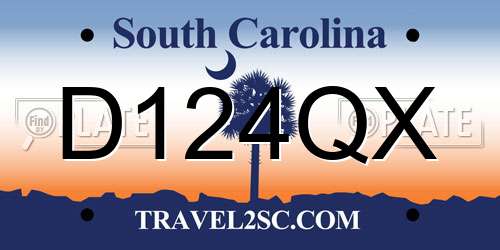D124QX South Carolina License Plate
