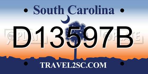 D13597B South Carolina License Plate
