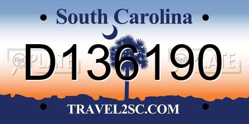 D136190 South Carolina License Plate