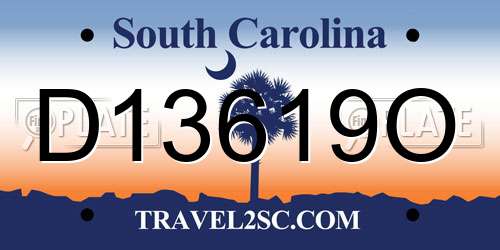 D13619O South Carolina License Plate