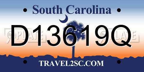 D13619Q South Carolina License Plate