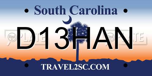 D13HAN South Carolina License Plate