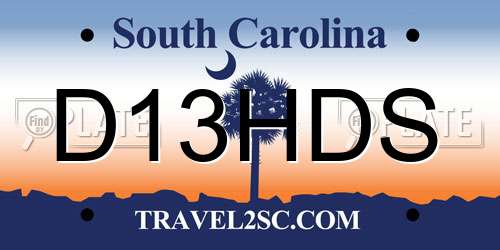 D13HDS South Carolina License Plate