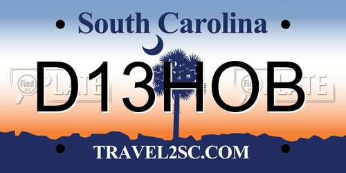 D13HOB South Carolina License Plate
