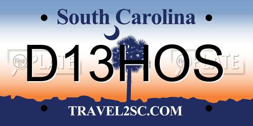 D13HOS South Carolina License Plate