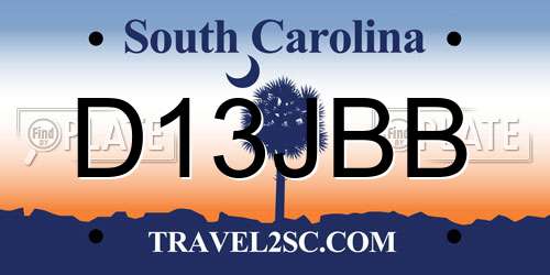 D13JBB South Carolina License Plate