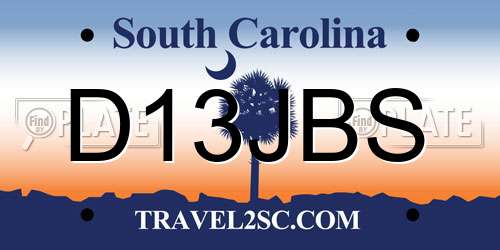 D13JBS South Carolina License Plate