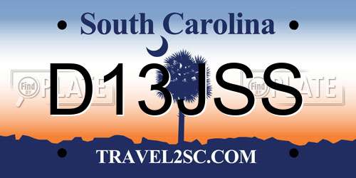 D13JSS South Carolina License Plate
