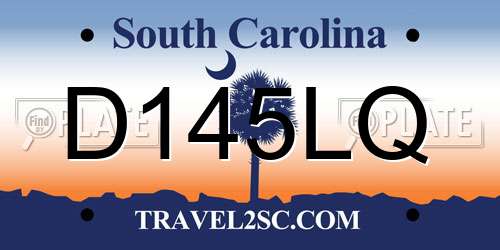 D145LQ South Carolina License Plate