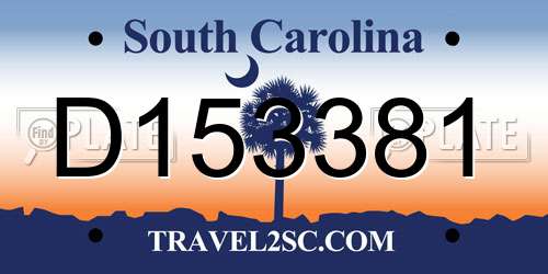 D153381 South Carolina License Plate
