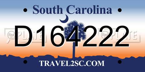 D164222 South Carolina License Plate