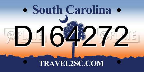 D164272 South Carolina License Plate
