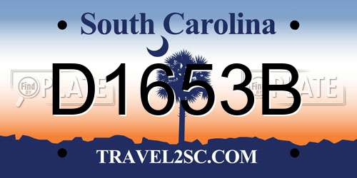 D1653B South Carolina License Plate