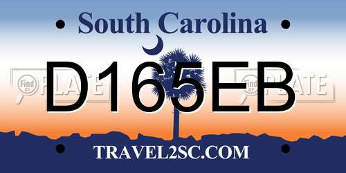 D165EB South Carolina License Plate