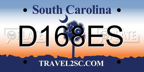 D168ES South Carolina License Plate