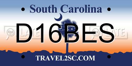D16BES South Carolina License Plate