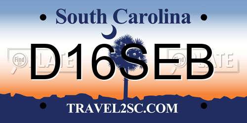 D16SEB South Carolina License Plate