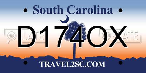 D174OX South Carolina License Plate