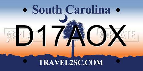 D17AOX South Carolina License Plate
