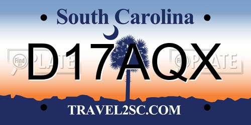 D17AQX South Carolina License Plate