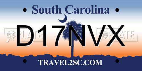 D17NVX South Carolina License Plate
