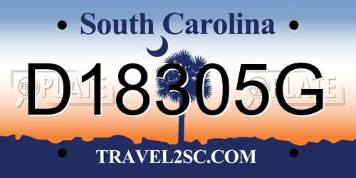 D18305G South Carolina License Plate