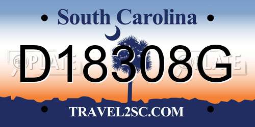 D18308G South Carolina License Plate
