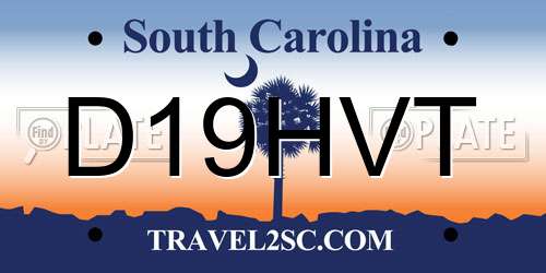 D19HVT South Carolina License Plate