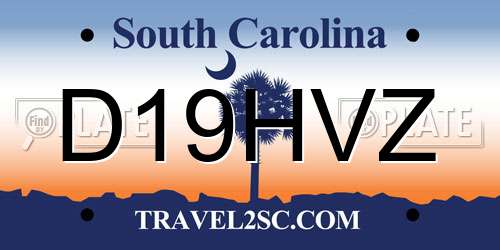 D19HVZ South Carolina License Plate