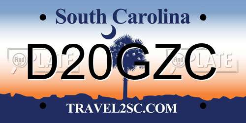 D20GZC South Carolina License Plate