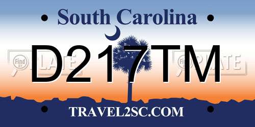 D217TM South Carolina License Plate