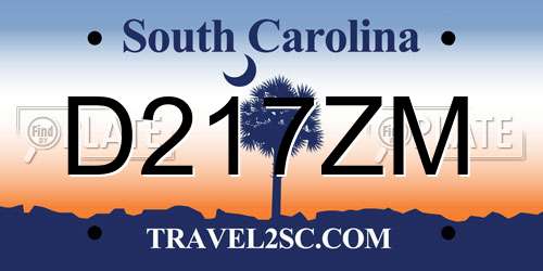 D217ZM South Carolina License Plate