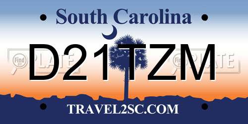 D21TZM South Carolina License Plate