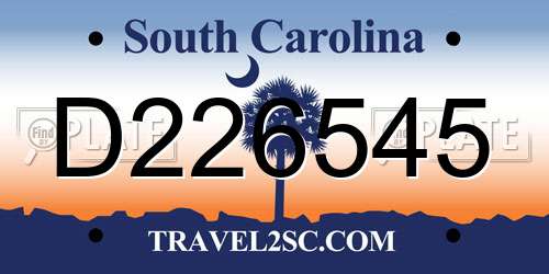 D226545 South Carolina License Plate
