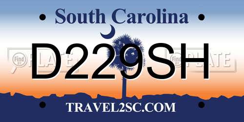 D229SH South Carolina License Plate