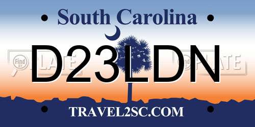 D23LDN South Carolina License Plate