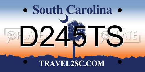 D245TS South Carolina License Plate