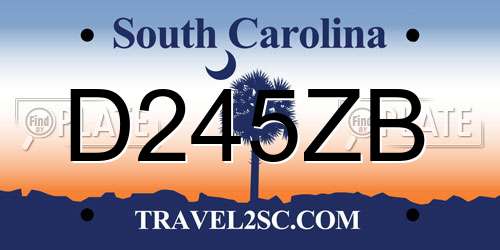 D245ZB South Carolina License Plate