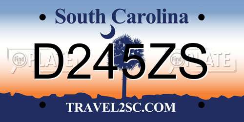 D245ZS South Carolina License Plate