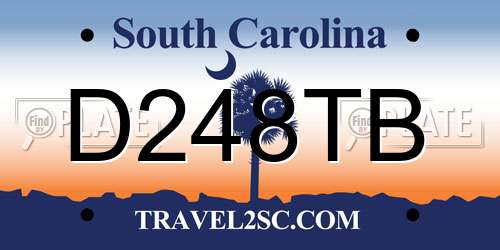 D248TB South Carolina License Plate