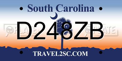 D248ZB South Carolina License Plate